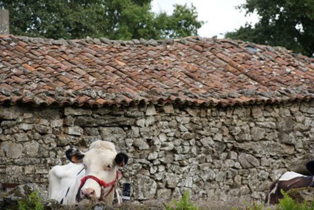 Stone Cottage Fisterra Curtis Dış mekan fotoğraf